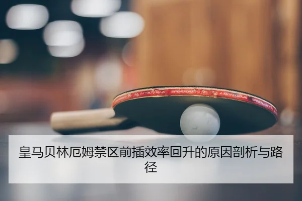 huang-ma-bei-lin-e-mu-jin-qu-qian-cha-xiao-lv-hui-sheng-de-yuan-yin-pou-xi-yu-lu-jing-2-434.jpg